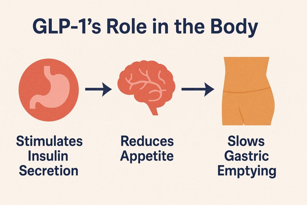 GLP-1 Role